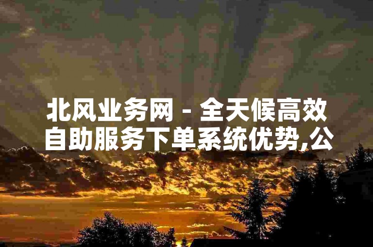 北风业务网 - 全天候高效自助服务下单系统优势,公交逃生卡网24小时自助下单平台 - 钻石自助下单平台24小时网站