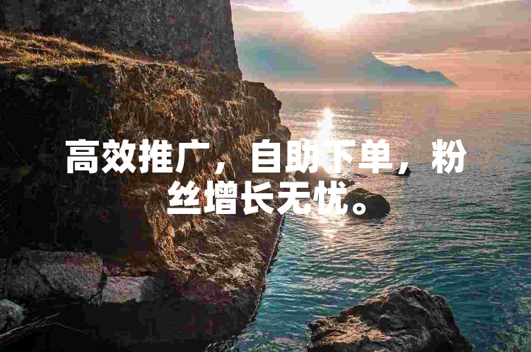 高效推广，自助下单，粉丝增长无忧。