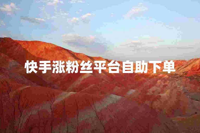 快手涨粉丝平台自助下单