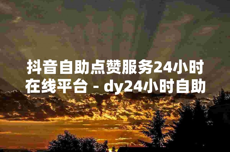 抖音自助点赞服务24小时在线平台 - dy24小时自助下单网站，提供全天候的闪云业务支持。