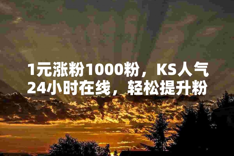 1元涨粉1000粉，KS人气24小时在线，轻松提升粉丝数量。