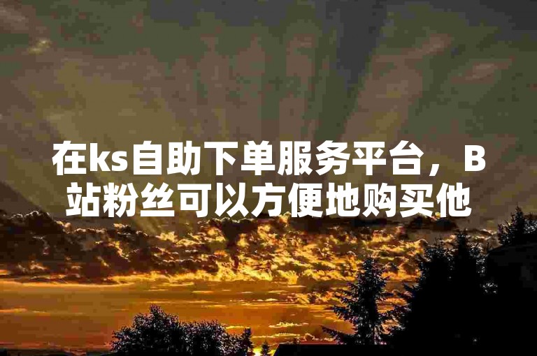 在ks自助下单服务平台，B站粉丝可以方便地购买他们喜爱的商品。