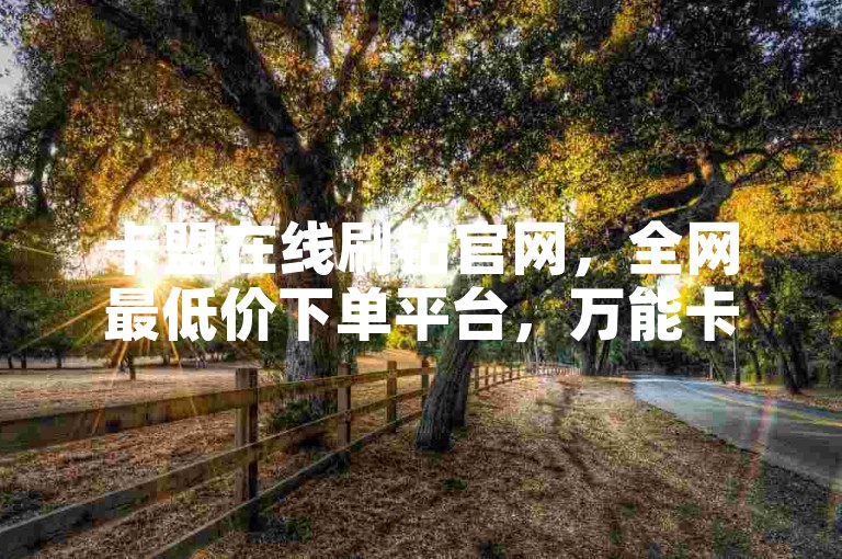 卡盟在线刷钻官网，全网最低价下单平台，万能卡盟揭秘！