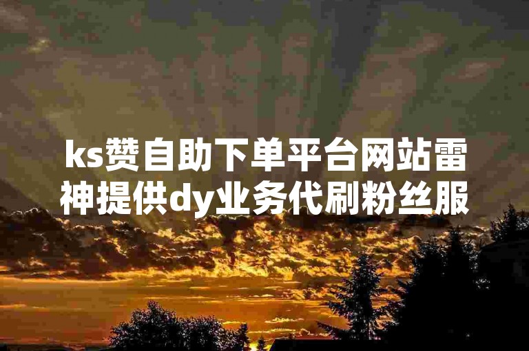 ks赞自助下单平台网站雷神提供dy业务代刷粉丝服务，价格为1元1千粉丝。