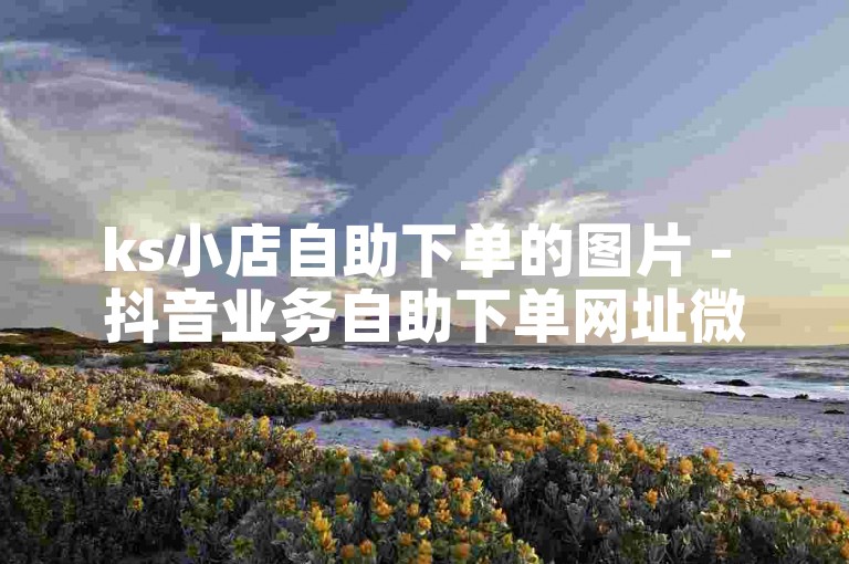 ks小店自助下单的图片 - 抖音业务自助下单网址微信支付