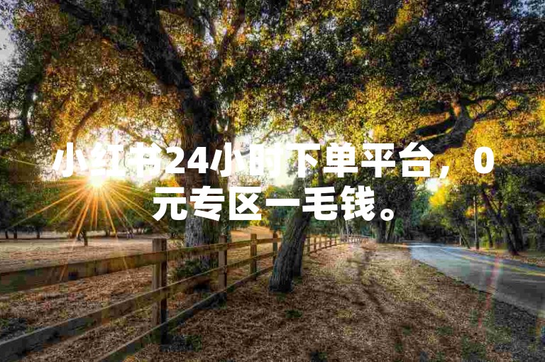 小红书24小时下单平台，0元专区一毛钱。
