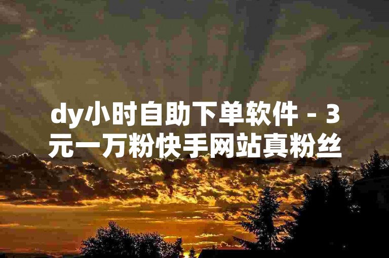 dy小时自助下单软件 - 3元一万粉快手网站真粉丝