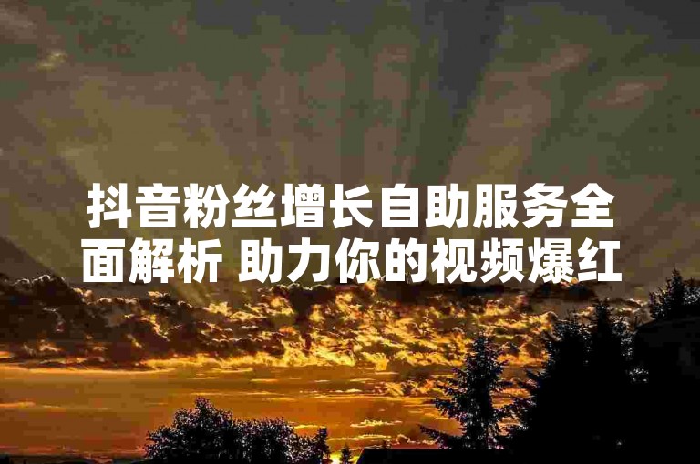 抖音粉丝增长自助服务全面解析 助力你的视频爆红！