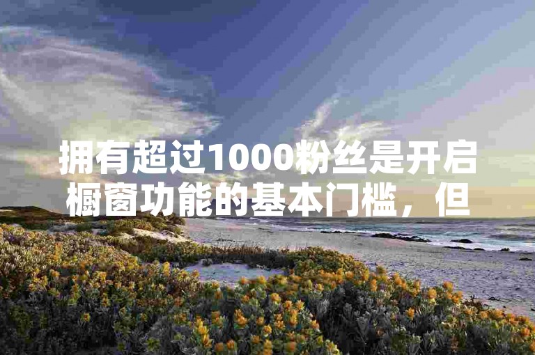 拥有超过1000粉丝是开启橱窗功能的基本门槛，但雷神免费代刷网提供了一种解决方案。