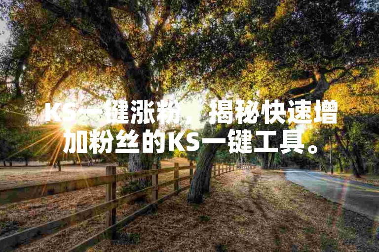 KS一键涨粉，揭秘快速增加粉丝的KS一键工具。