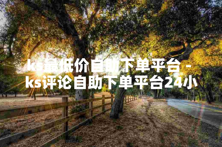 ks最低价自助下单平台 - ks评论自助下单平台24小时在线服务。