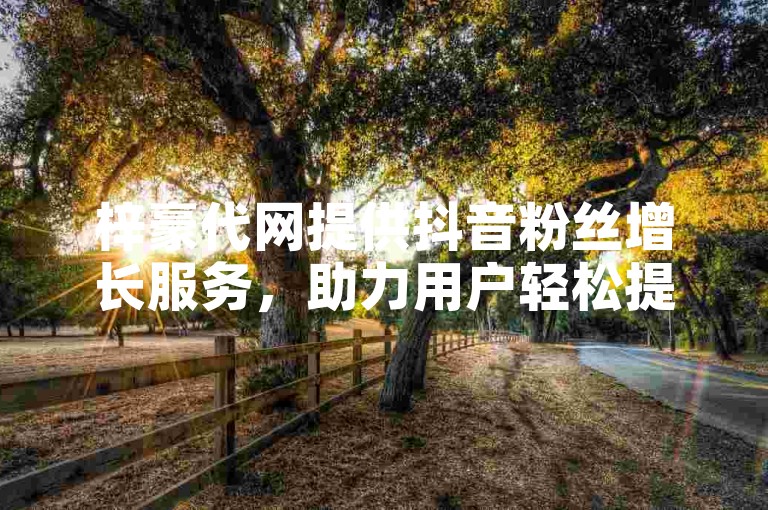 梓豪代网提供抖音粉丝增长服务，助力用户轻松提升影响力。