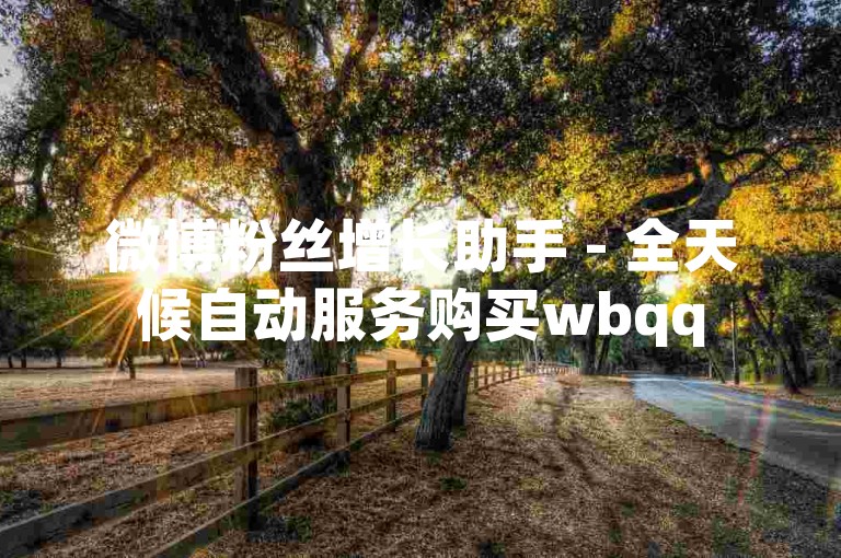 微博粉丝增长助手 - 全天候自动服务购买wbqq