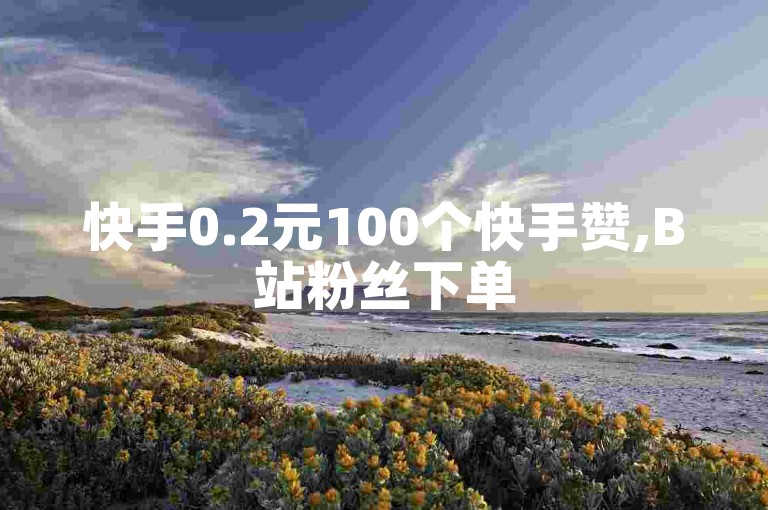 快手0.2元100个快手赞,B站粉丝下单