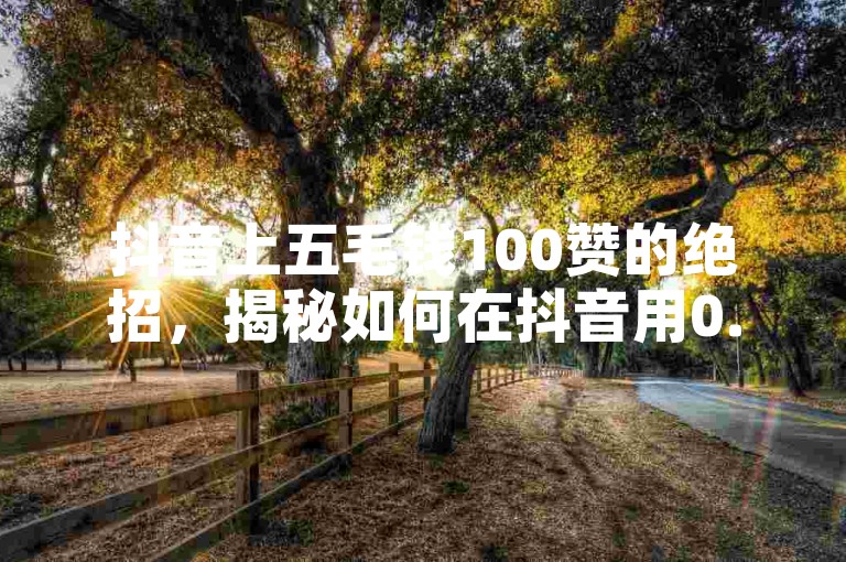 抖音上五毛钱100赞的绝招，揭秘如何在抖音用0.5元赢得100个点赞！2024年必看攻略。
