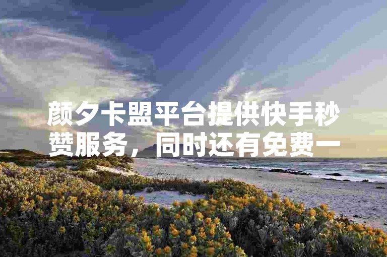 颜夕卡盟平台提供快手秒赞服务，同时还有免费一万访客和刷播放次数的软件。