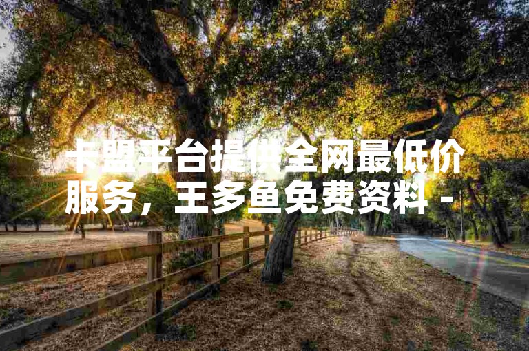 卡盟平台提供全网最低价服务，王多鱼免费资料 - ks视频点赞评论。