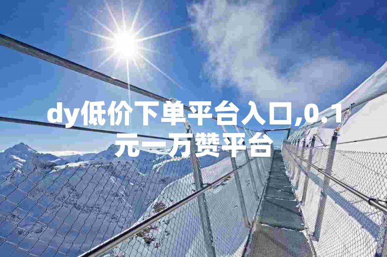 dy低价下单平台入口,0.1元一万赞平台