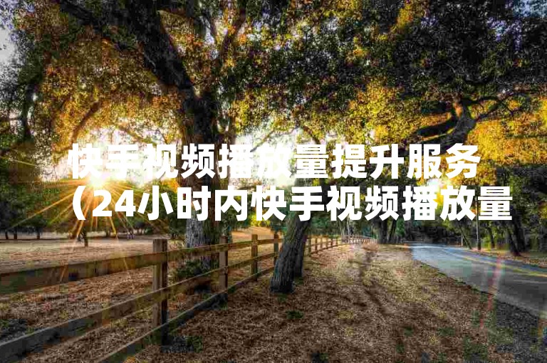 快手视频播放量提升服务（24小时内快手视频播放量增加平台）