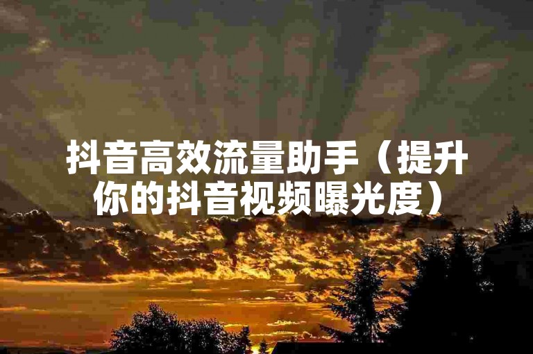 抖音高效流量助手（提升你的抖音视频曝光度）
