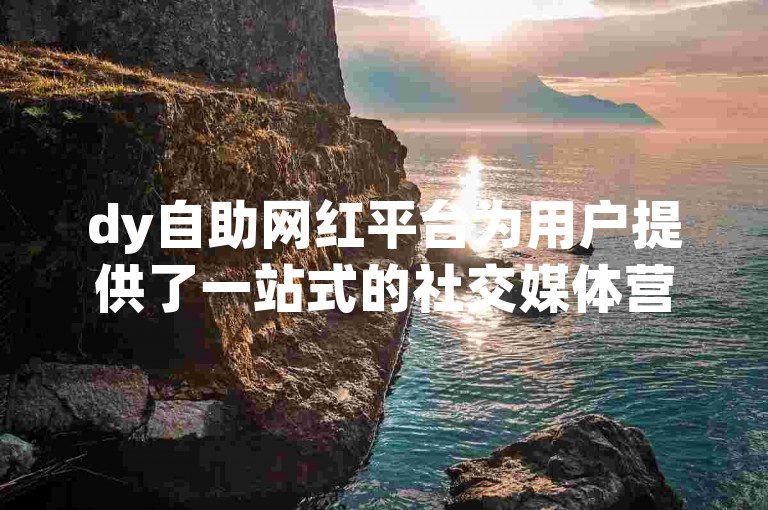 dy自助网红平台为用户提供了一站式的社交媒体营销解决方案，帮助内容创作者提升影响力。