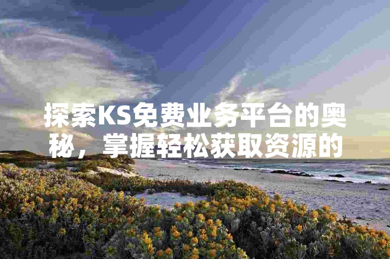 探索KS免费业务平台的奥秘，掌握轻松获取资源的关键。
