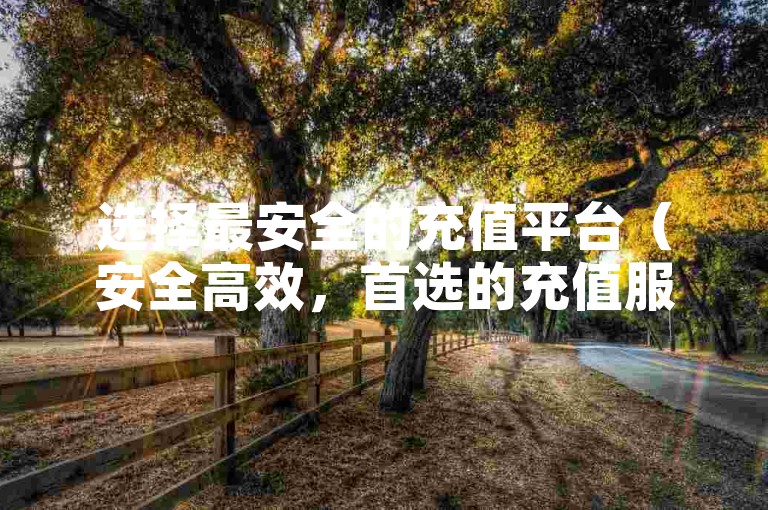 选择最安全的充值平台（安全高效，首选的充值服务）