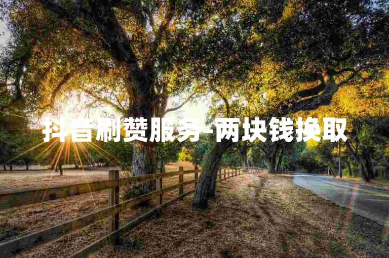 抖音刷赞服务-两块钱换取5000个粉丝，提升抖音账号人气。