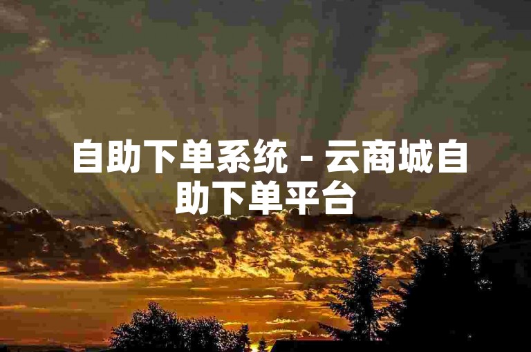 自助下单系统 - 云商城自助下单平台