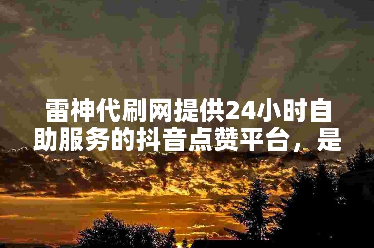 雷神代刷网提供24小时自助服务的抖音点赞平台，是全网最低价的自助下单网站。