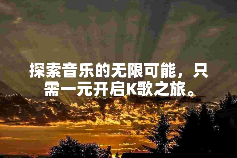 探索音乐的无限可能，只需一元开启K歌之旅。