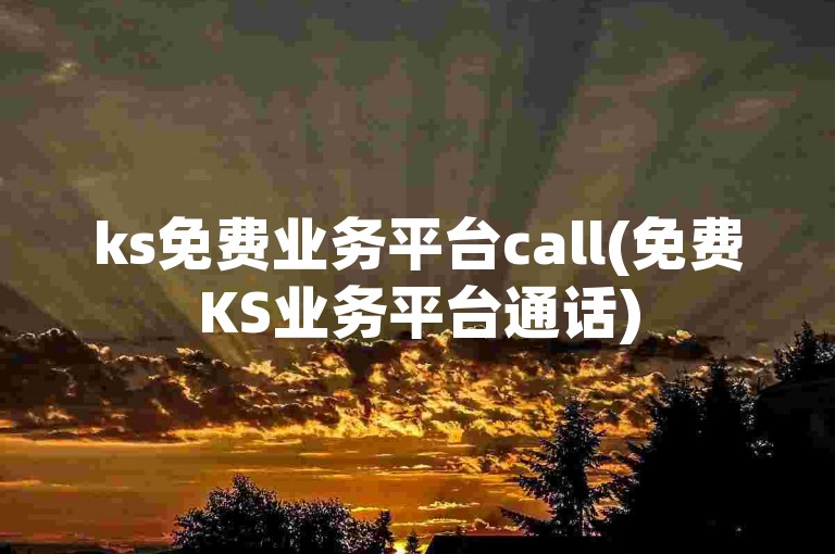 ks免费业务平台call(免费KS业务平台通话)