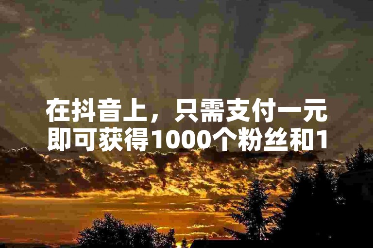 在抖音上，只需支付一元即可获得1000个粉丝和111个自动点赞。