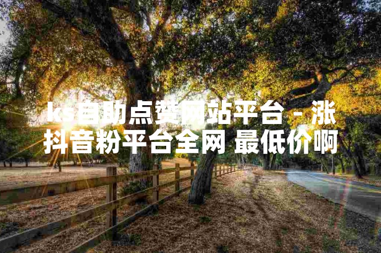 ks自助点赞网站平台 - 涨抖音粉平台全网 最低价啊