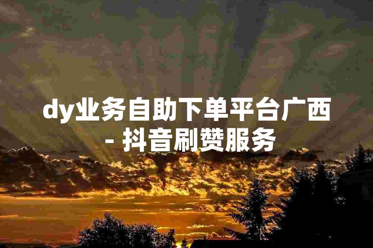 dy业务自助下单平台广西 - 抖音刷赞服务