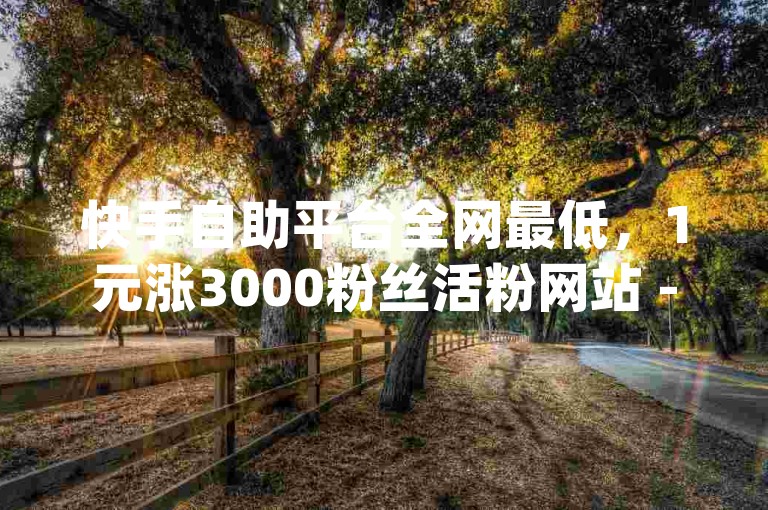 快手自助平台全网最低，1元涨3000粉丝活粉网站 - yy业务免费下单平台最便宜 - 微博充值1块50币。