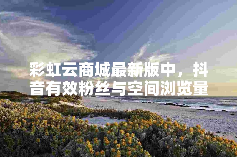 彩虹云商城最新版中，抖音有效粉丝与空间浏览量和访客有何区别？