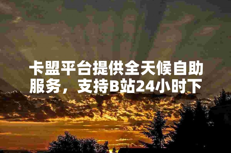 卡盟平台提供全天候自助服务，支持B站24小时下单功能 - QQ业务网，一个全天候的QQ服务自动下单平台。