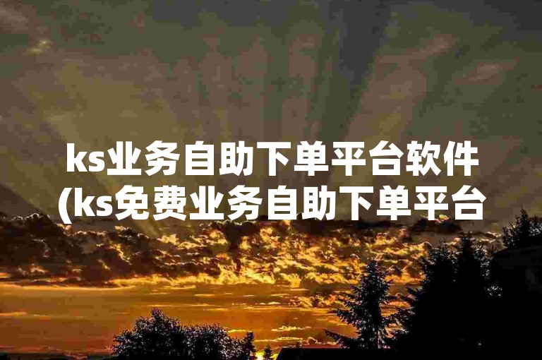 ks业务自助下单平台软件(ks免费业务自助下单平台下载)