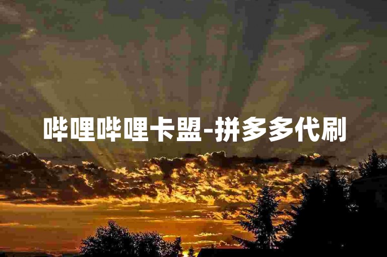 哔哩哔哩卡盟-拼多多代刷