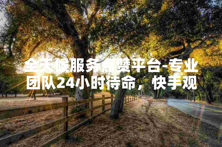全天候服务点赞平台-专业团队24小时待命，快手观看次数500免费领取。