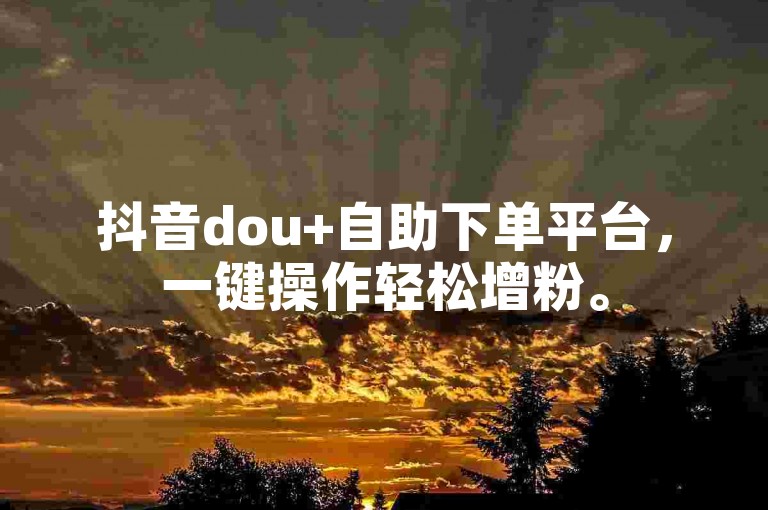 抖音dou+自助下单平台，一键操作轻松增粉。