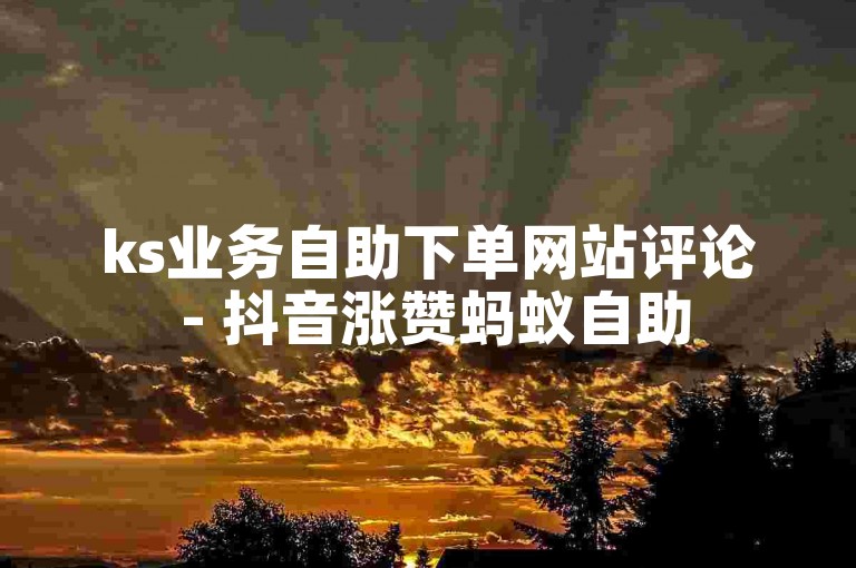 ks业务自助下单网站评论 - 抖音涨赞蚂蚁自助