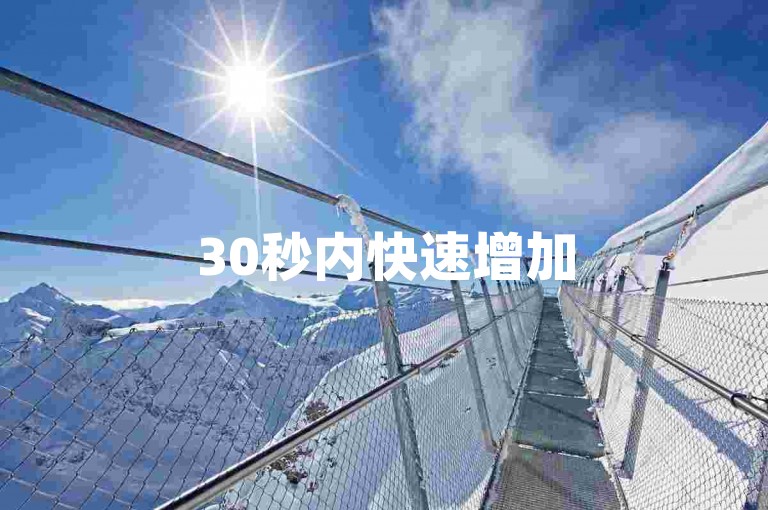 30秒内快速增加500粉丝-评论点赞服务