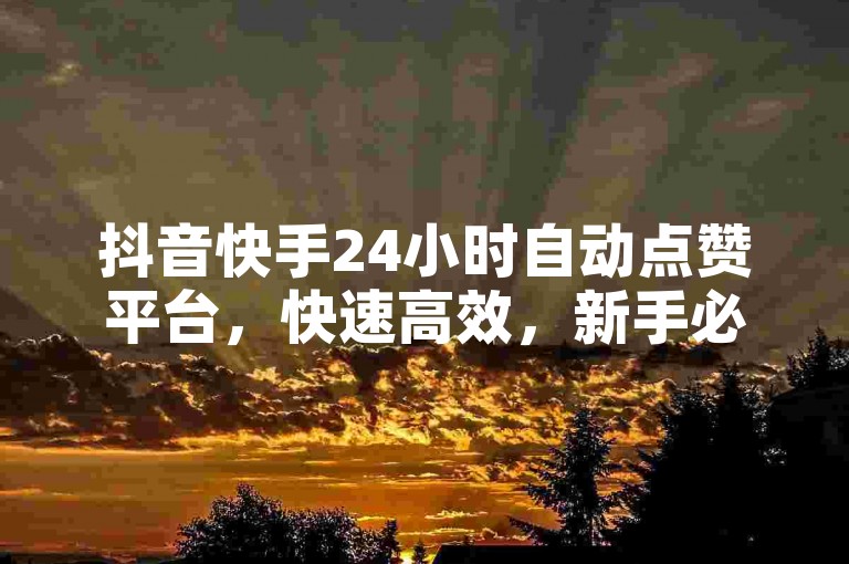 抖音快手24小时自动点赞平台，快速高效，新手必备！