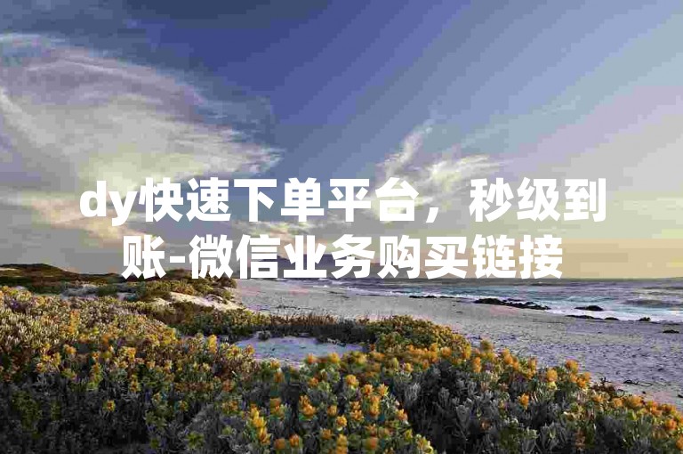dy快速下单平台，秒级到账-微信业务购买链接
