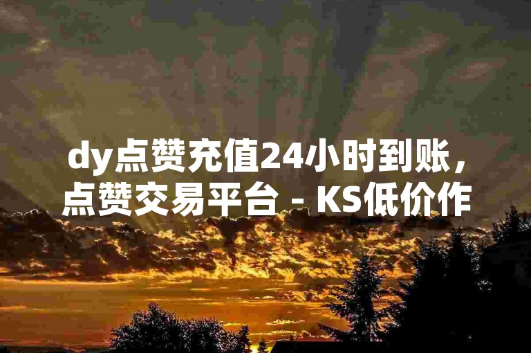 dy点赞充值24小时到账，点赞交易平台 - KS低价作品双击 - 抖音双击业务探索无界。
