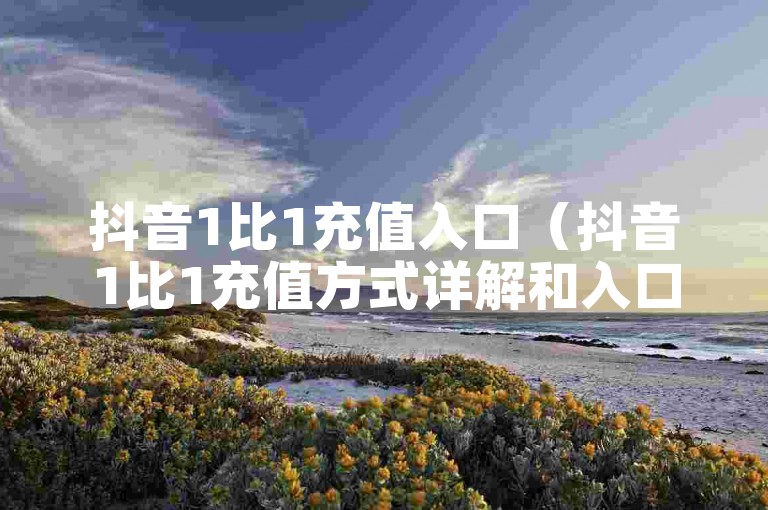 抖音1比1充值入口（抖音1比1充值方式详解和入口指南）