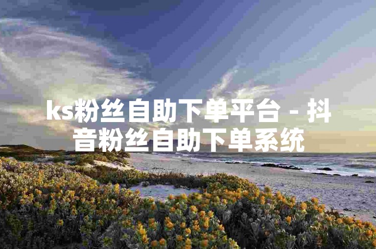 ks粉丝自助下单平台 - 抖音粉丝自助下单系统