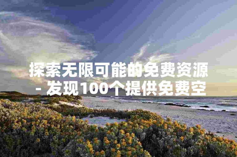 探索无限可能的免费资源 - 发现100个提供免费空间访客的网站。